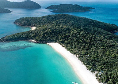 Whitehaven Beach Experience
