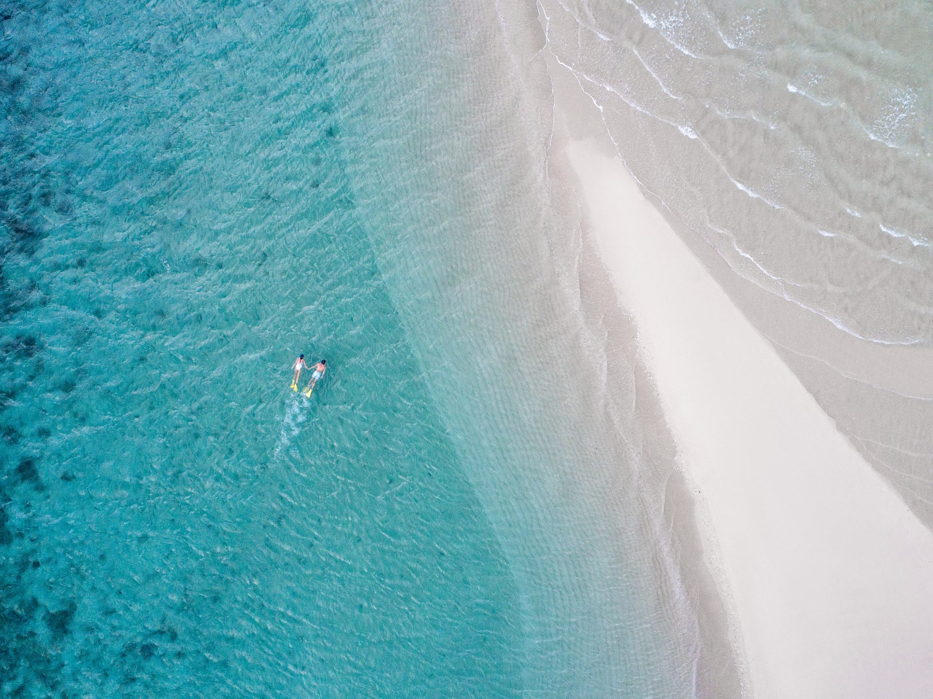 Family snorkelling together over colourful coral on the Great Barrier Reef