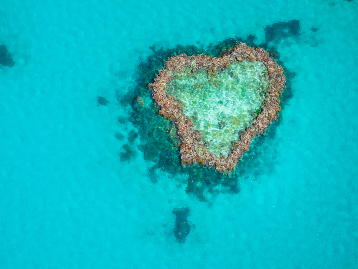 Heart Reef, a naturally heart-shaped coral formation on the Great Barrier Reef, viewed from helicopter