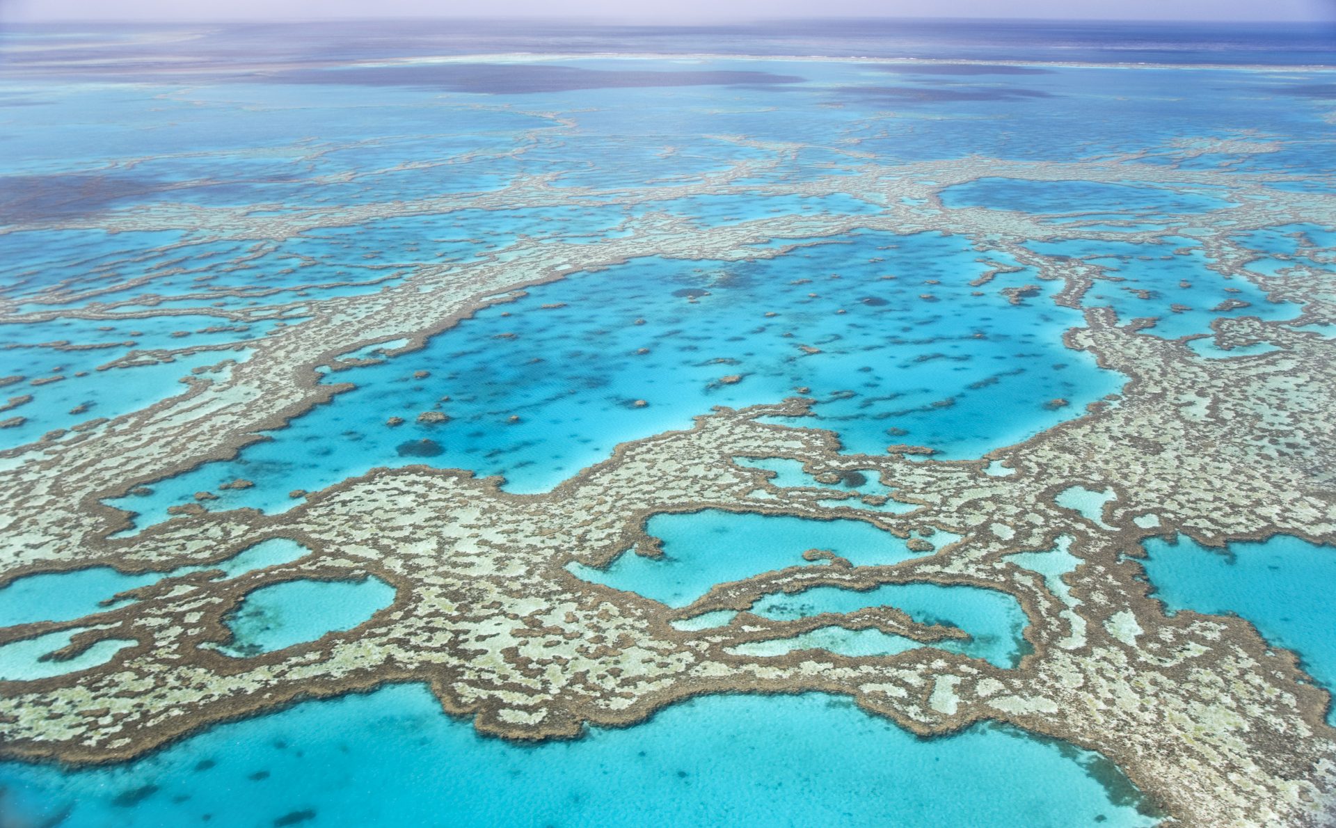 Helicopter flying over Heart Reef on the Great Barrier Reef near Hayman Island