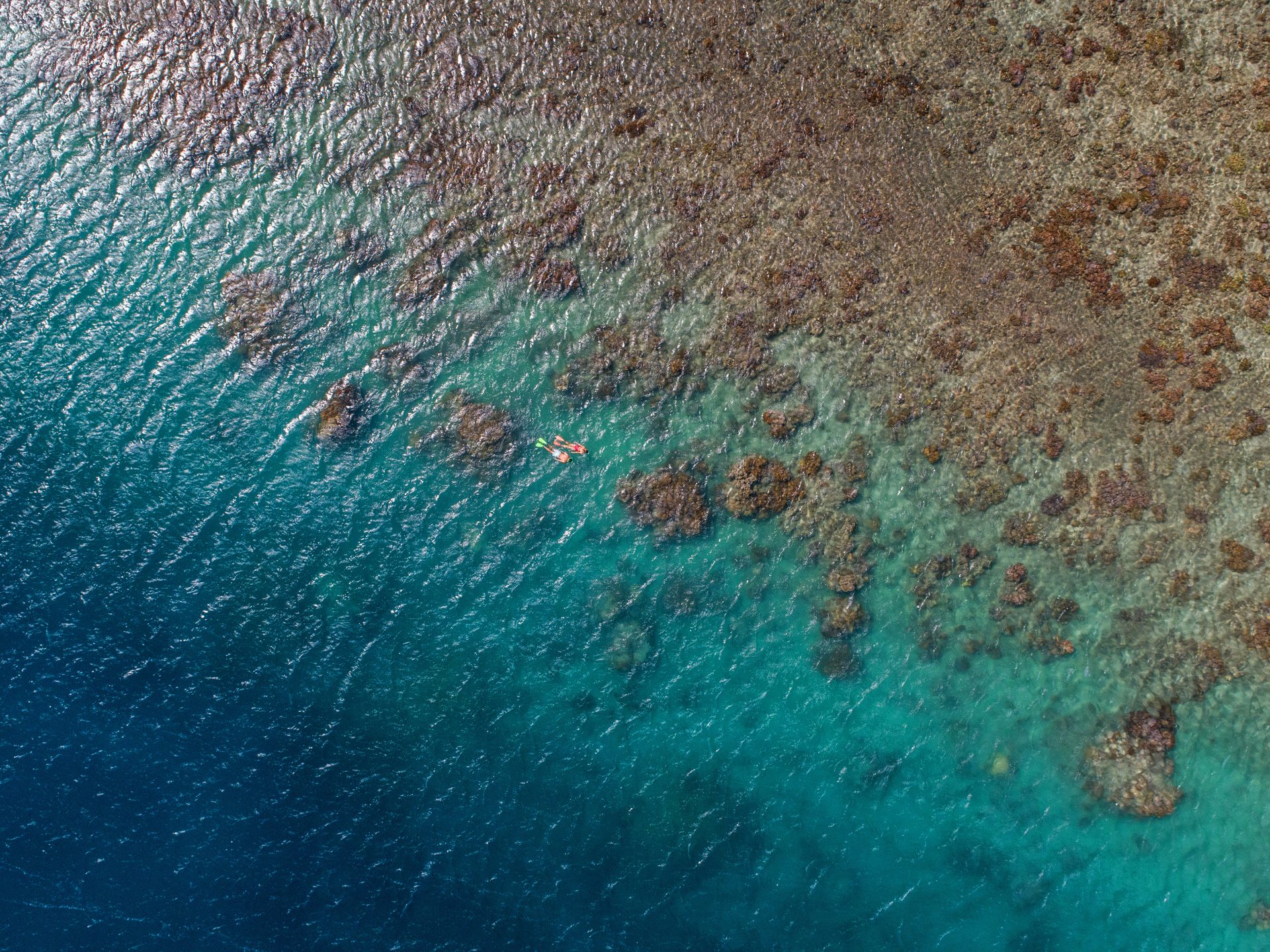 Snorkeller in crystal-clear water at Hayman Island during winter dry season